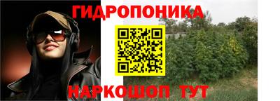 кокс Кунгур