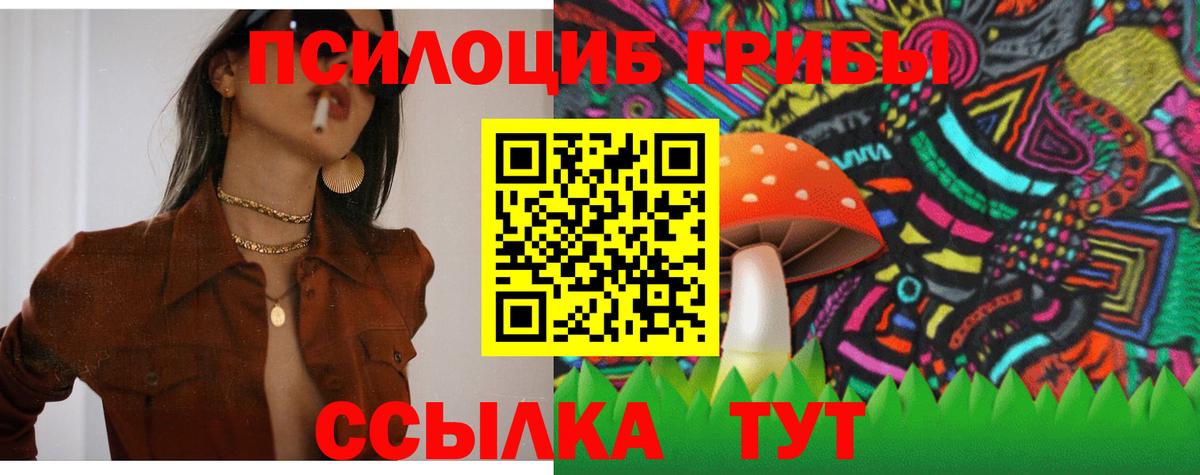 Псилоцибиновые грибы Psilocybine cubensis  Вход с VPN  Галлюциногенные грибы GOLDEN TEACHER  Грозный 